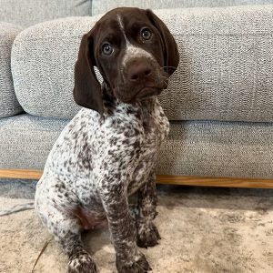 Charlie Männlich