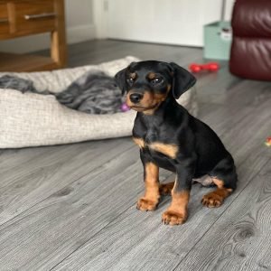 Luna Weiblich