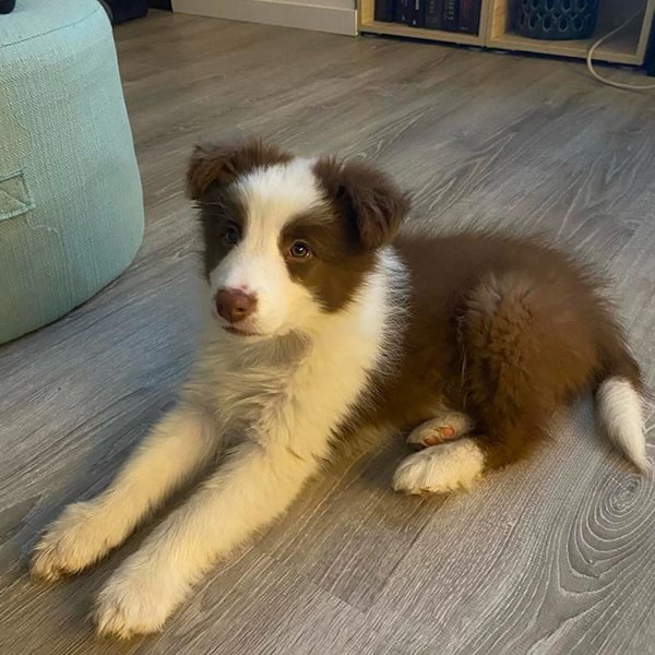 Max-male Max Männlich