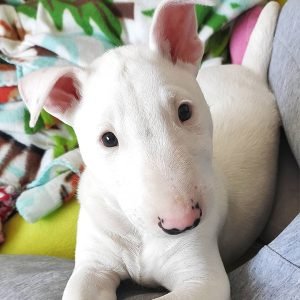 Nana Weiblich