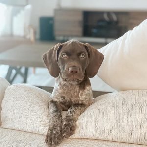 Toby Männlich